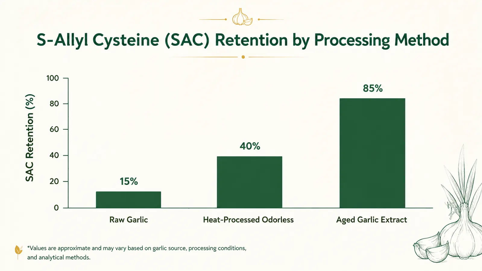 Simple comparison chart showing SAC retention across raw garlic, heat-processed odorless, and aged garlic extract