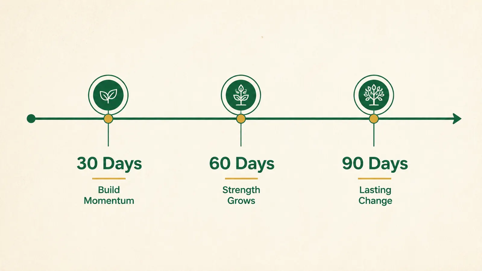 A simple timeline chart showing supplement response milestones at 30 days, 60 days, and 90 days with short labels at each marker