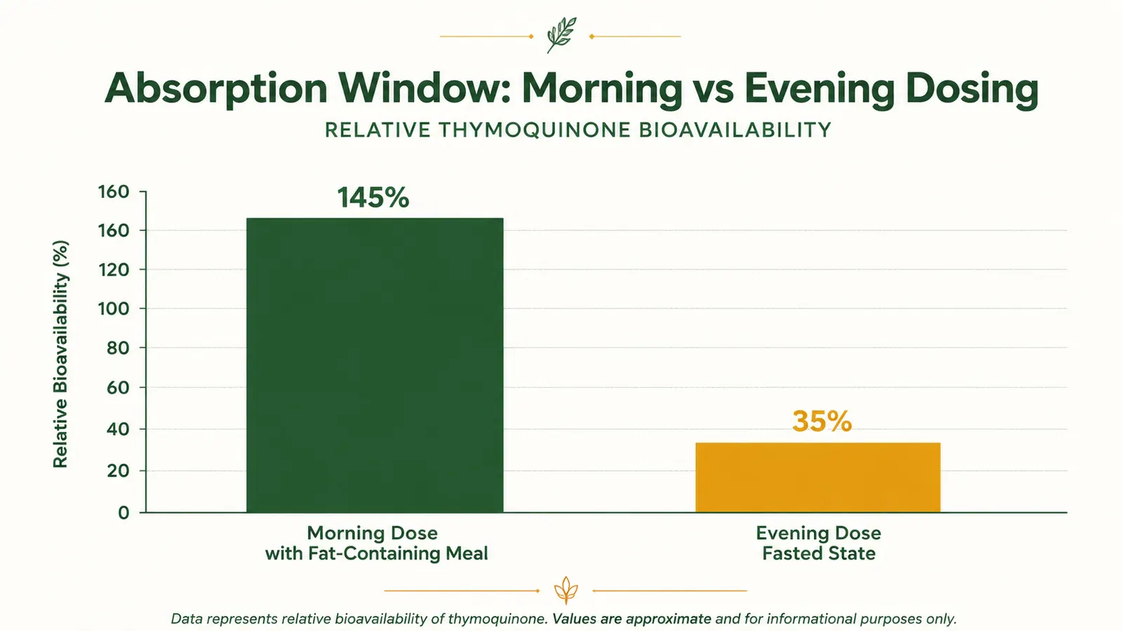 Simple bar chart comparing thymoquinone activity at different time-of-day dosing windows, morning versus evening