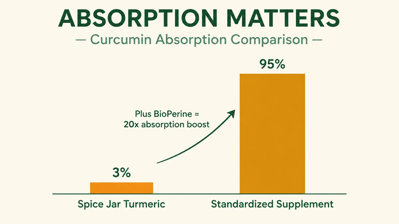Bar chart comparing curcuminoid percentage: plain turmeric powder at roughly 3 percent versus standardized supplement at 95 percent, with BioPerine absorption multiplier labeled